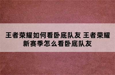 王者荣耀如何看卧底队友 王者荣耀新赛季怎么看卧底队友